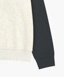 SMALL CLASSIC LOGO COLOR BLOCK SWEATSHIRT IN CHARCOAL GREY image 10
