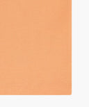 KIDS CLASSIC LOGO TEE IN ORANGE image 11