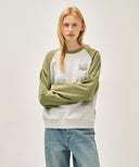 SMALL CLASSIC LOGO COLOR BLOCK SWEATSHIRT IN KHAKI image 11
