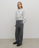 W SMALL CLASSIC LOGO CROP HOODIE IN LIGHT HEATHER GREY image 5